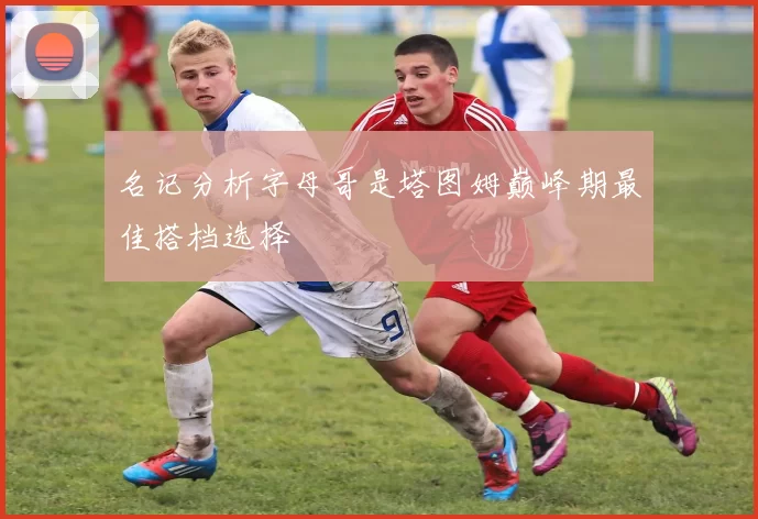 名记分析字母哥是塔图姆巅峰期最佳搭档选择